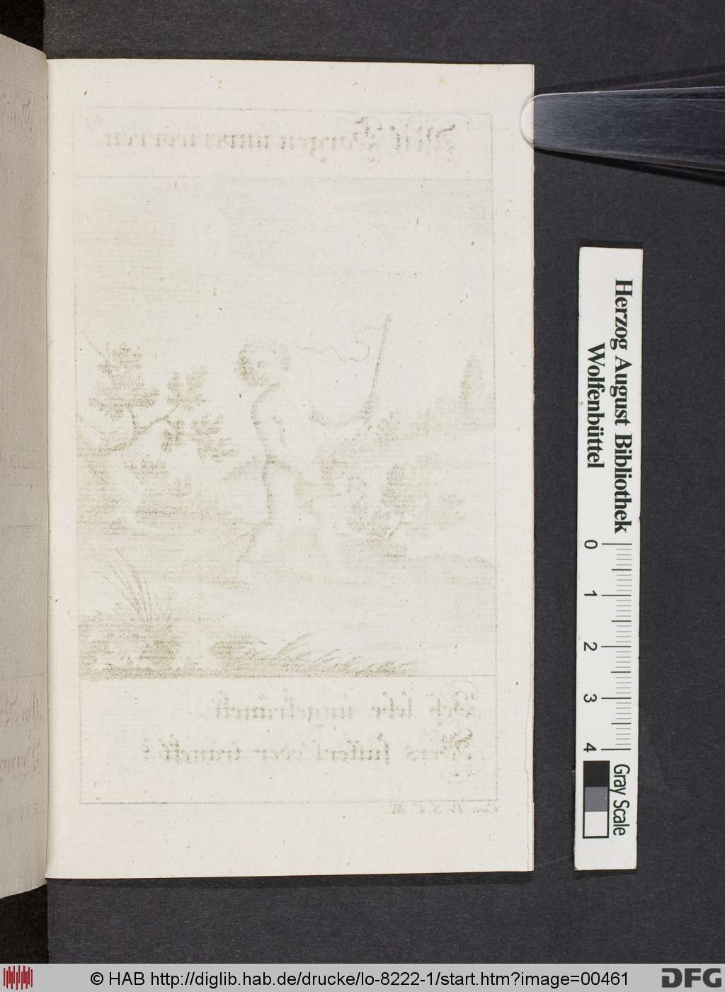 http://diglib.hab.de/drucke/lo-8222-1/00461.jpg