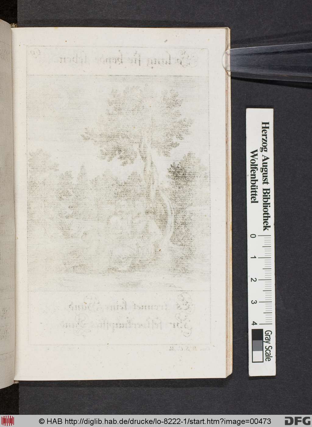 http://diglib.hab.de/drucke/lo-8222-1/00473.jpg