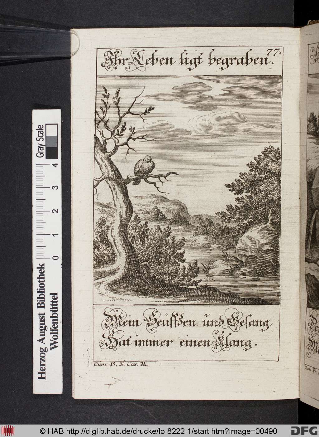 http://diglib.hab.de/drucke/lo-8222-1/00490.jpg