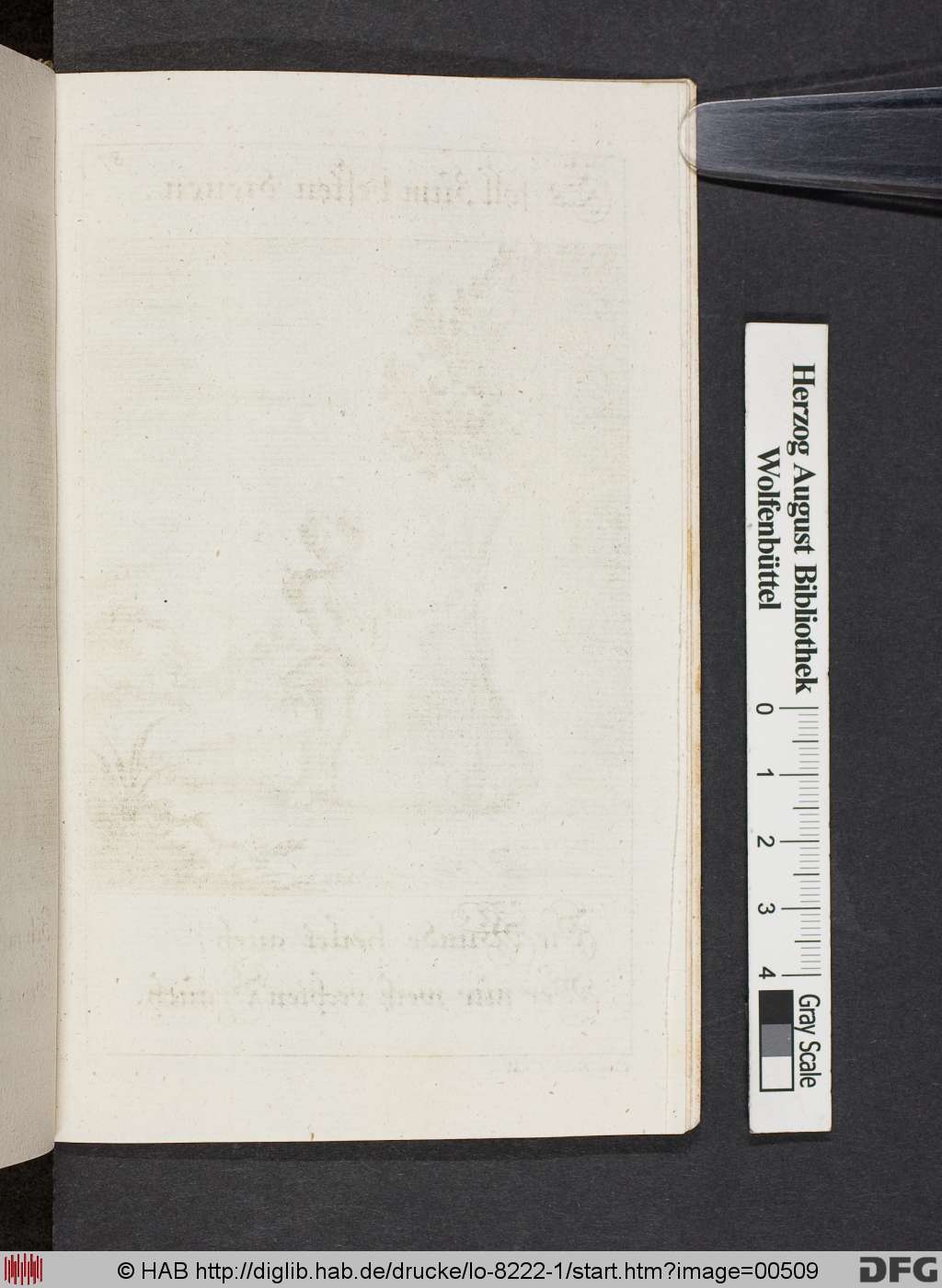 http://diglib.hab.de/drucke/lo-8222-1/00509.jpg