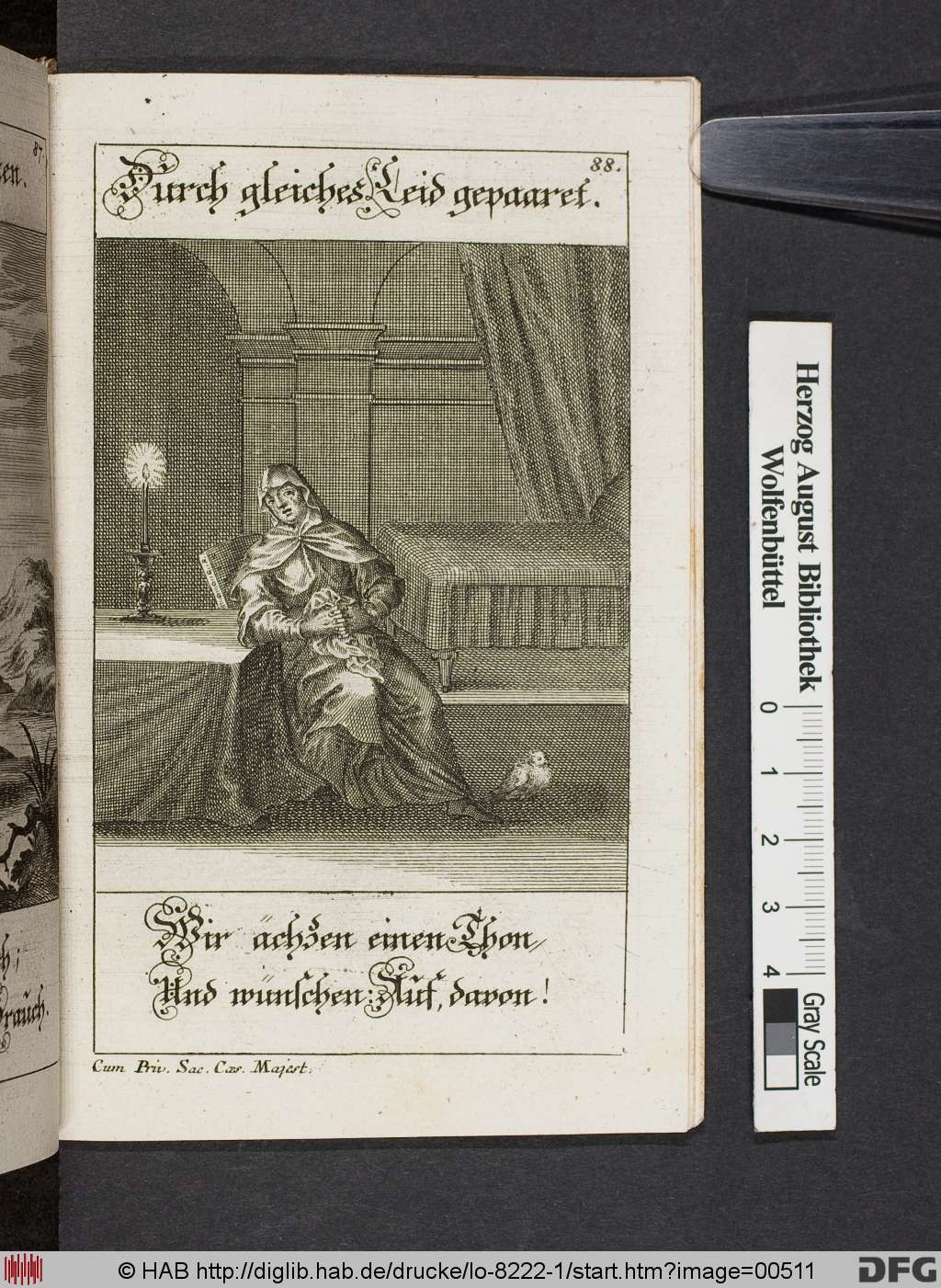 http://diglib.hab.de/drucke/lo-8222-1/00511.jpg