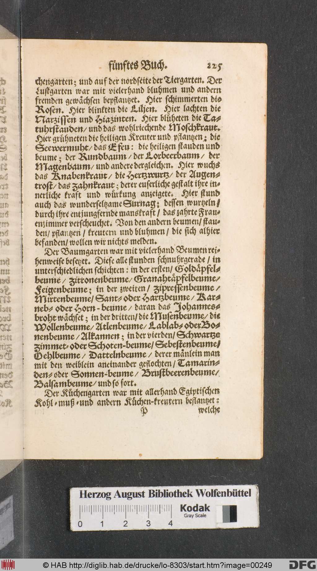 http://diglib.hab.de/drucke/lo-8303/00249.jpg