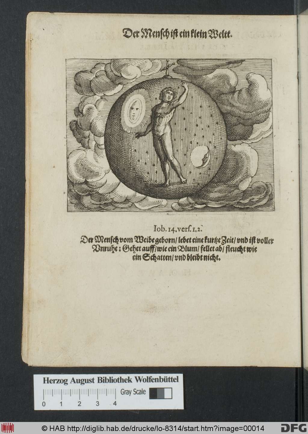 http://diglib.hab.de/drucke/lo-8314/00014.jpg