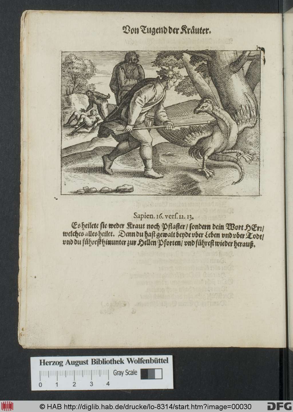 http://diglib.hab.de/drucke/lo-8314/00030.jpg