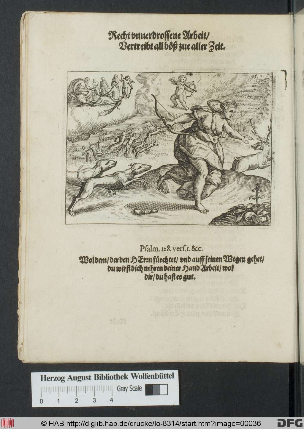 http://diglib.hab.de/drucke/lo-8314/00036.jpg