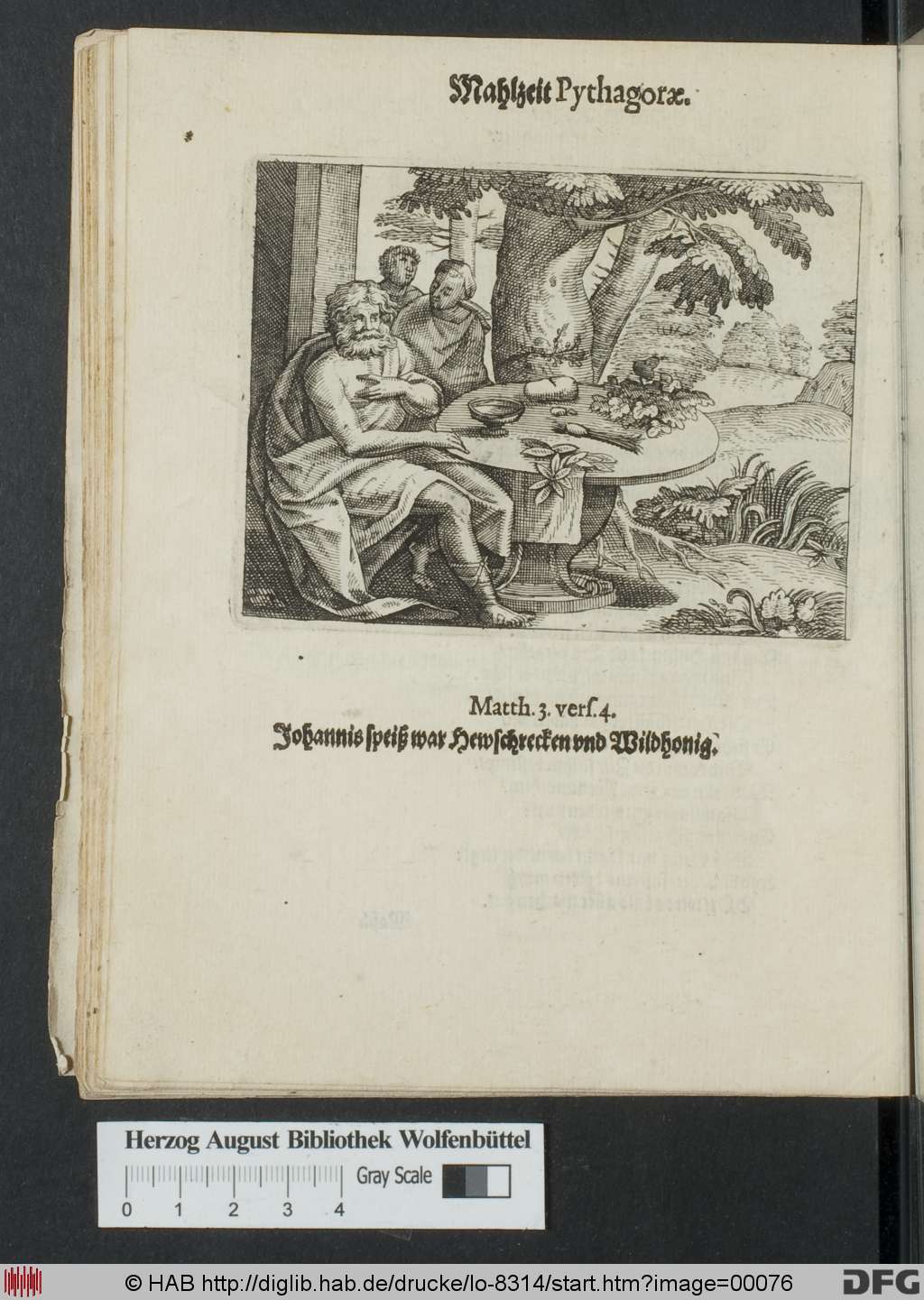 http://diglib.hab.de/drucke/lo-8314/00076.jpg
