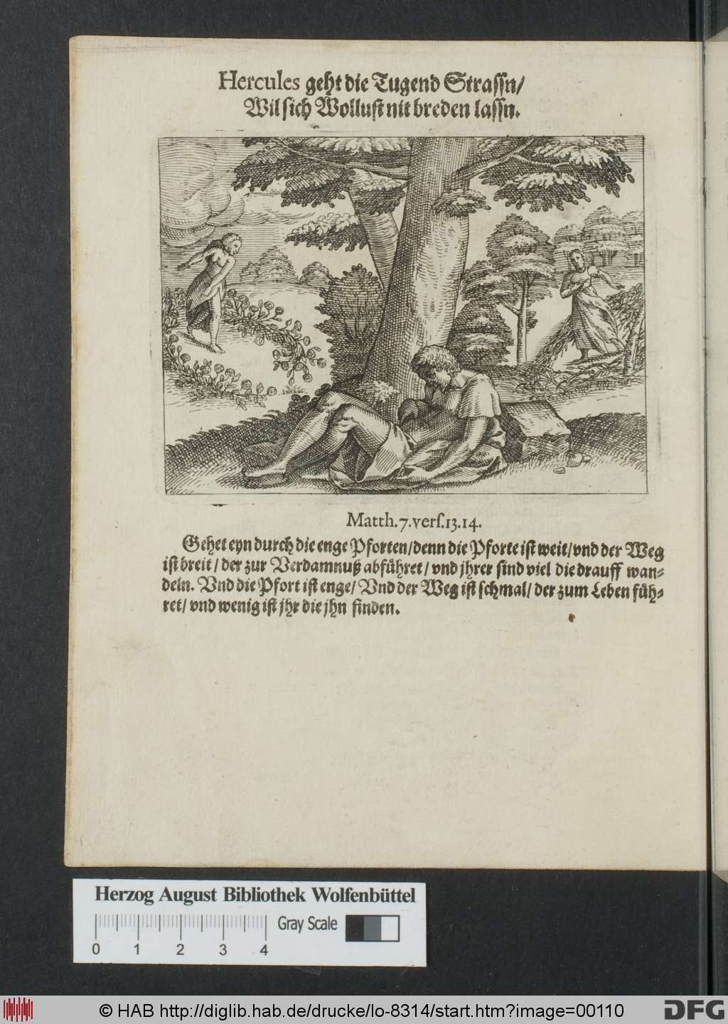 http://diglib.hab.de/drucke/lo-8314/00110.jpg