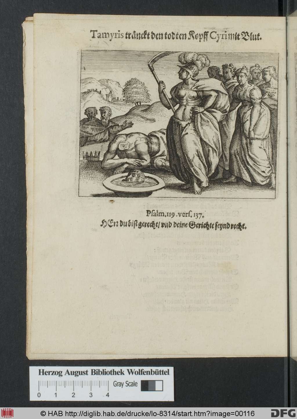 http://diglib.hab.de/drucke/lo-8314/00116.jpg