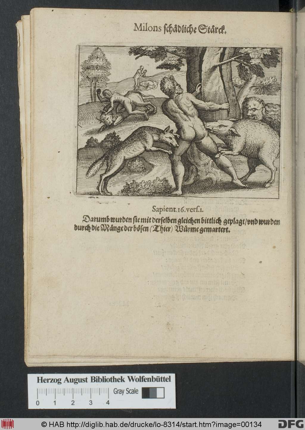 http://diglib.hab.de/drucke/lo-8314/00134.jpg