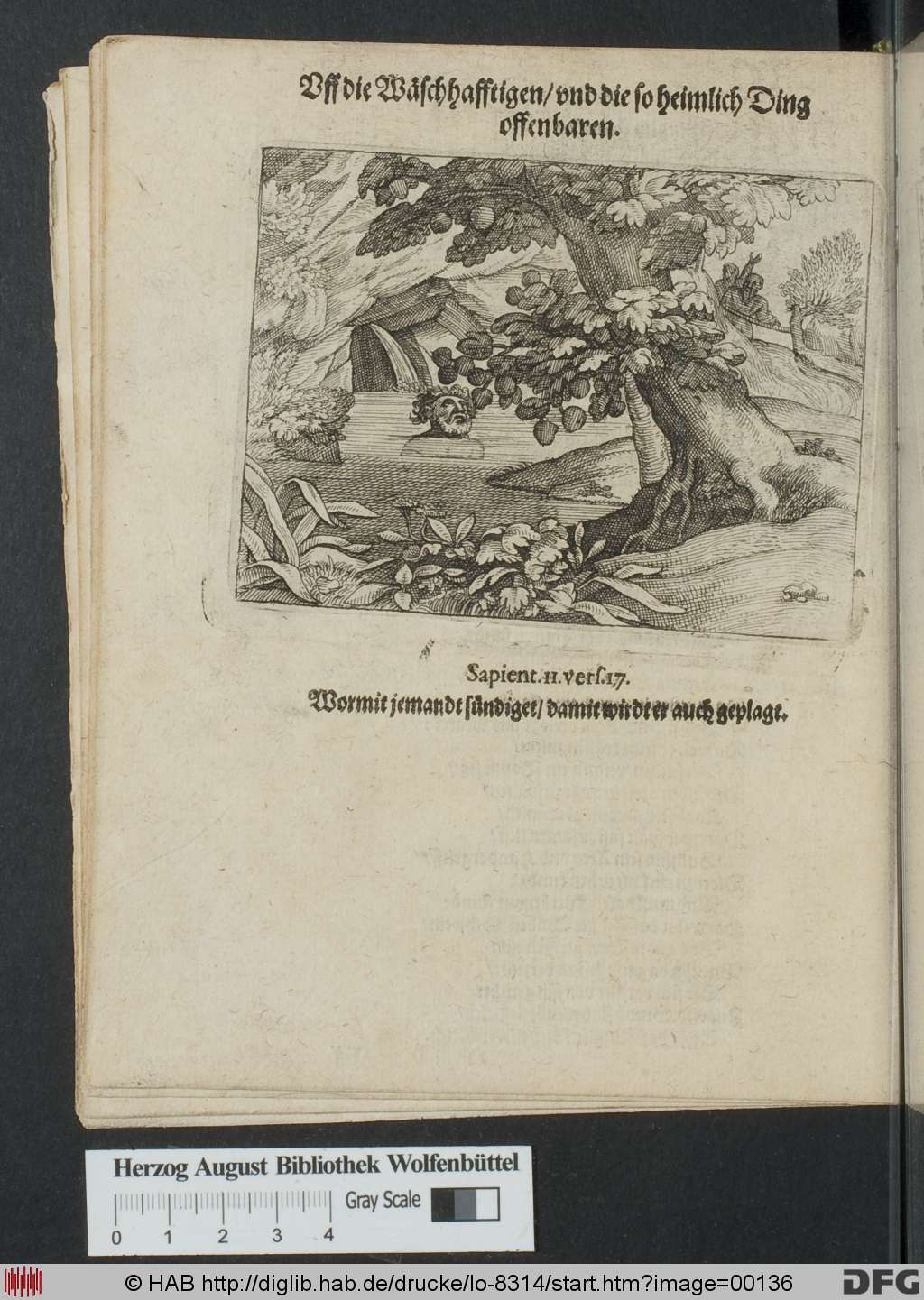 http://diglib.hab.de/drucke/lo-8314/00136.jpg