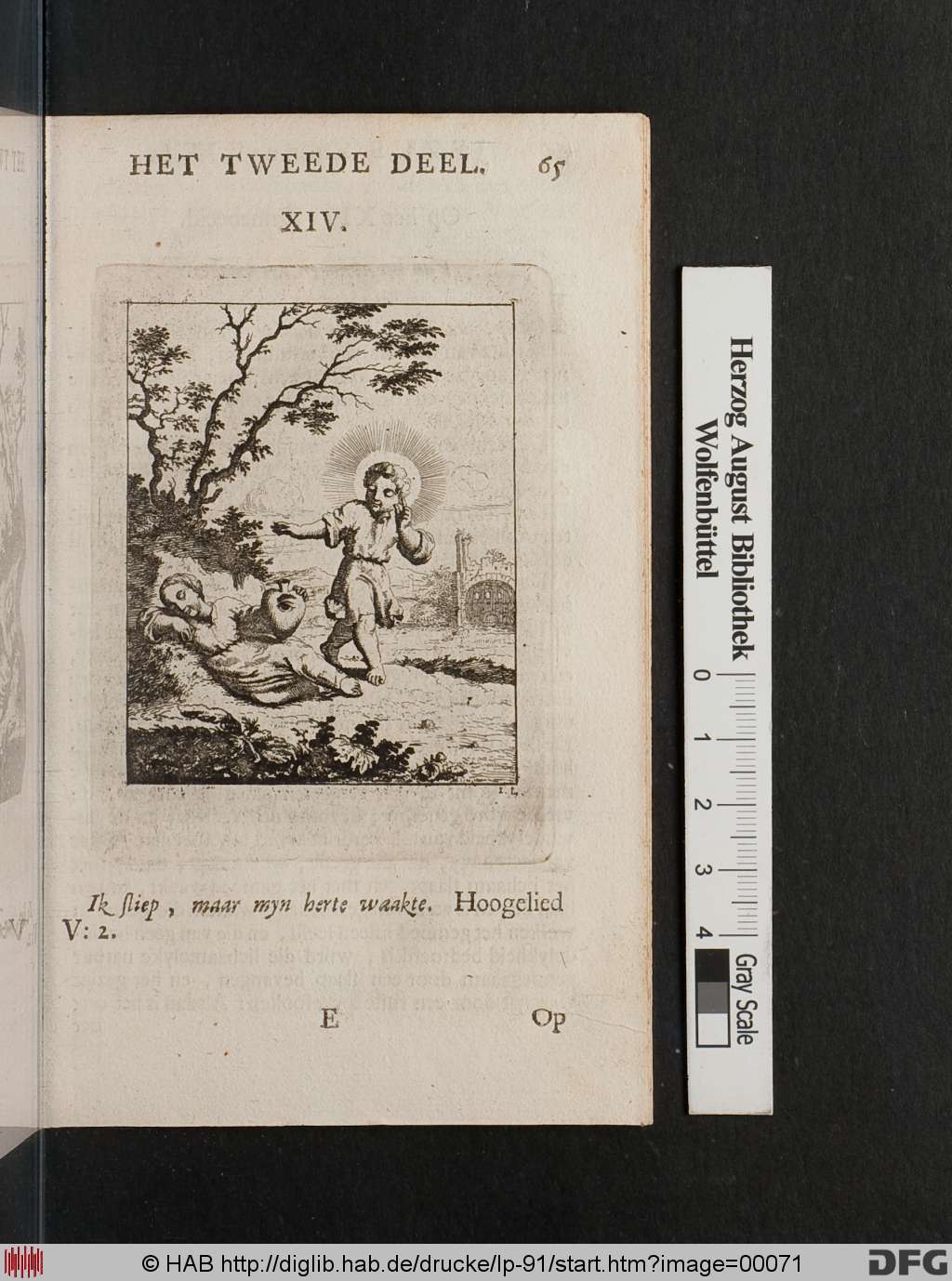 http://diglib.hab.de/drucke/lp-91/00071.jpg