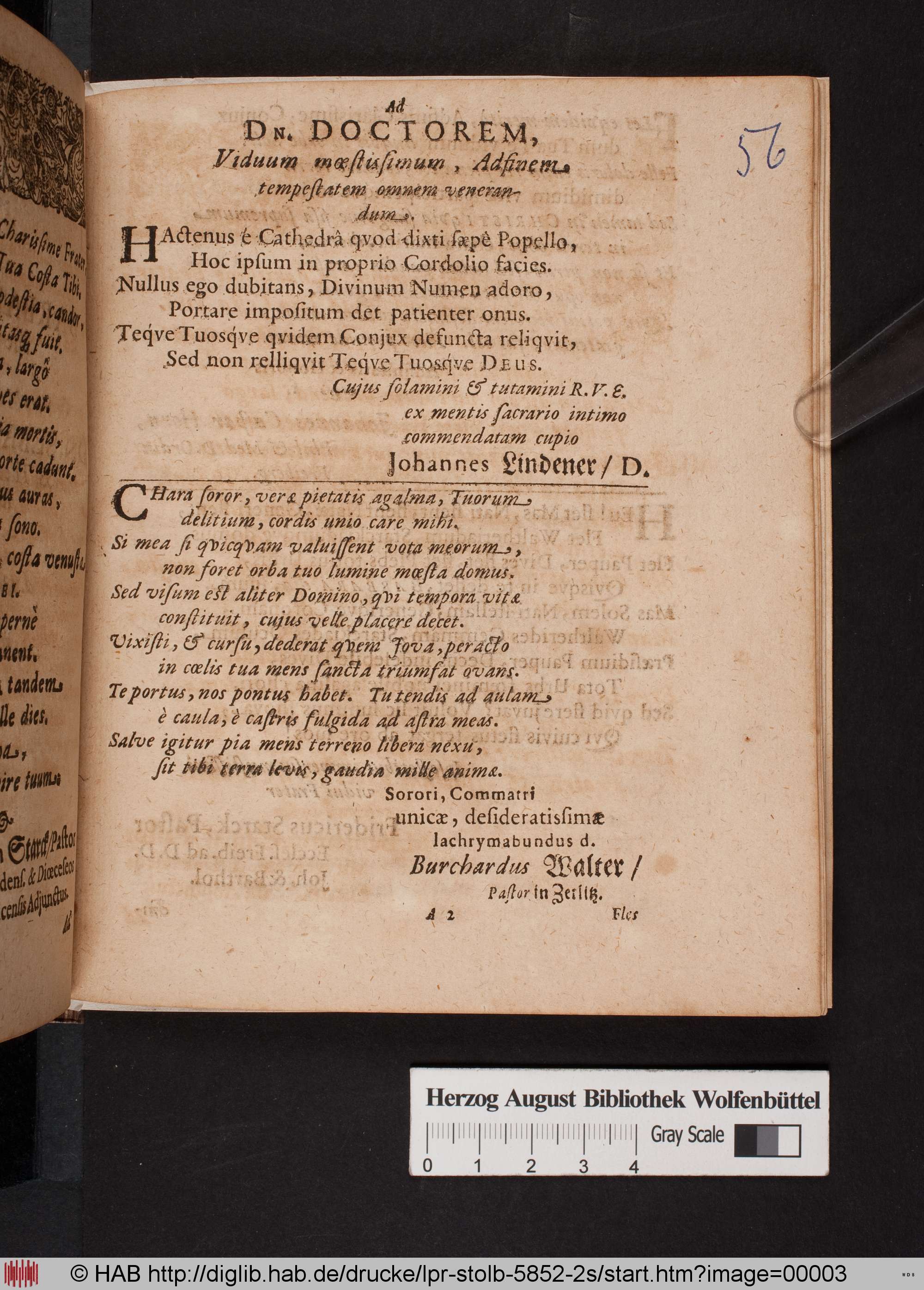 http://diglib.hab.de/drucke/lpr-stolb-5852-2s/max/00003.jpg