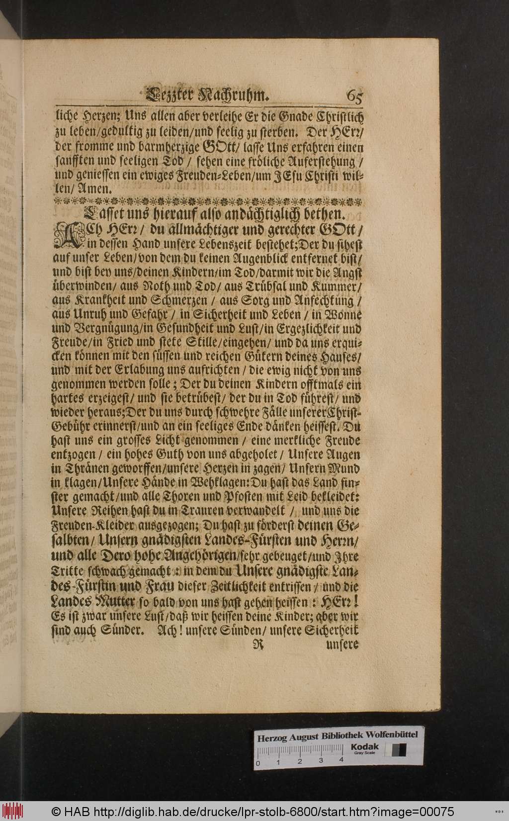 http://diglib.hab.de/drucke/lpr-stolb-6800/00075.jpg