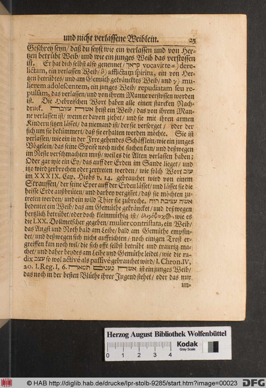 http://diglib.hab.de/drucke/lpr-stolb-9285/00023.jpg