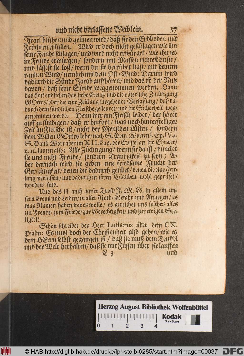 http://diglib.hab.de/drucke/lpr-stolb-9285/00037.jpg