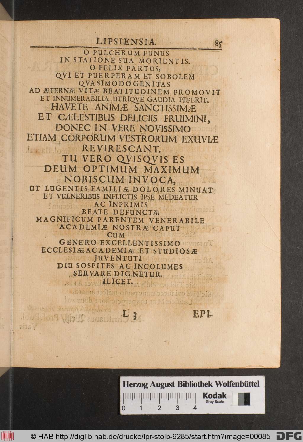 http://diglib.hab.de/drucke/lpr-stolb-9285/00085.jpg