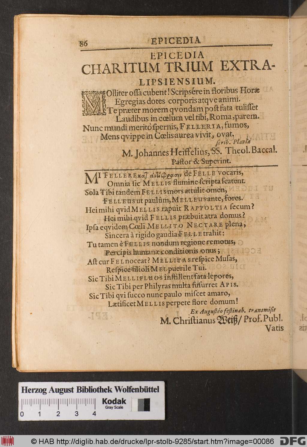 http://diglib.hab.de/drucke/lpr-stolb-9285/00086.jpg
