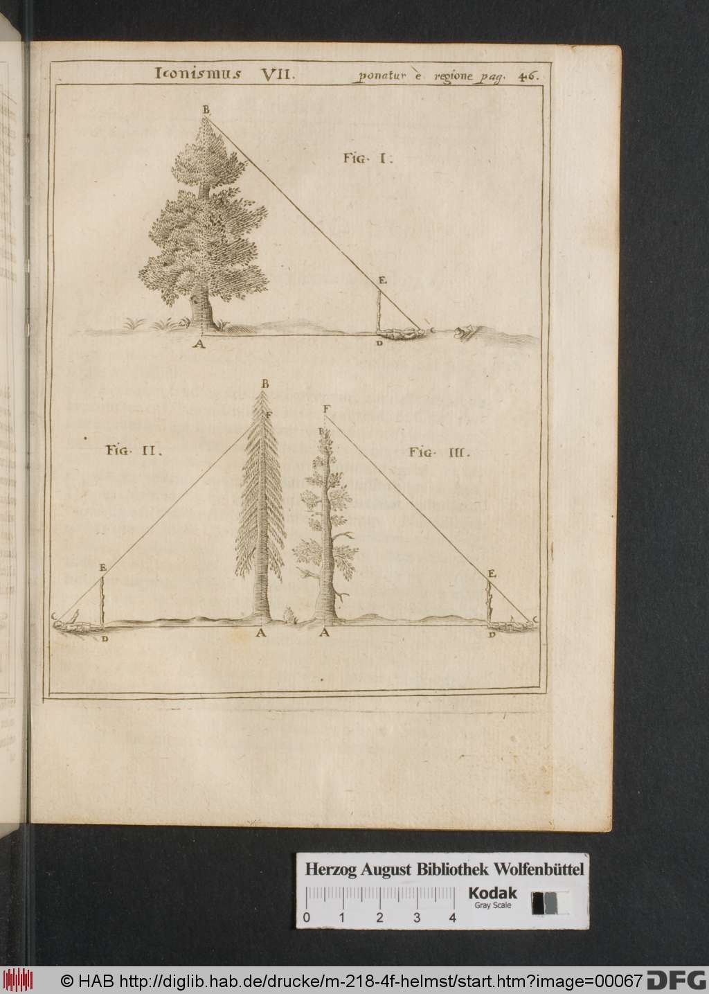 http://diglib.hab.de/drucke/m-218-4f-helmst/00067.jpg