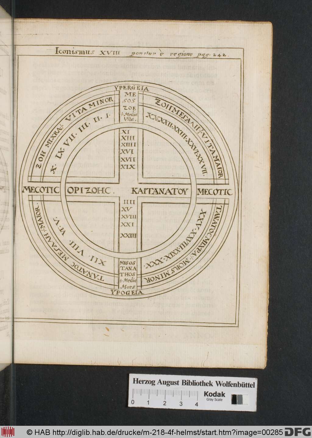 http://diglib.hab.de/drucke/m-218-4f-helmst/00285.jpg