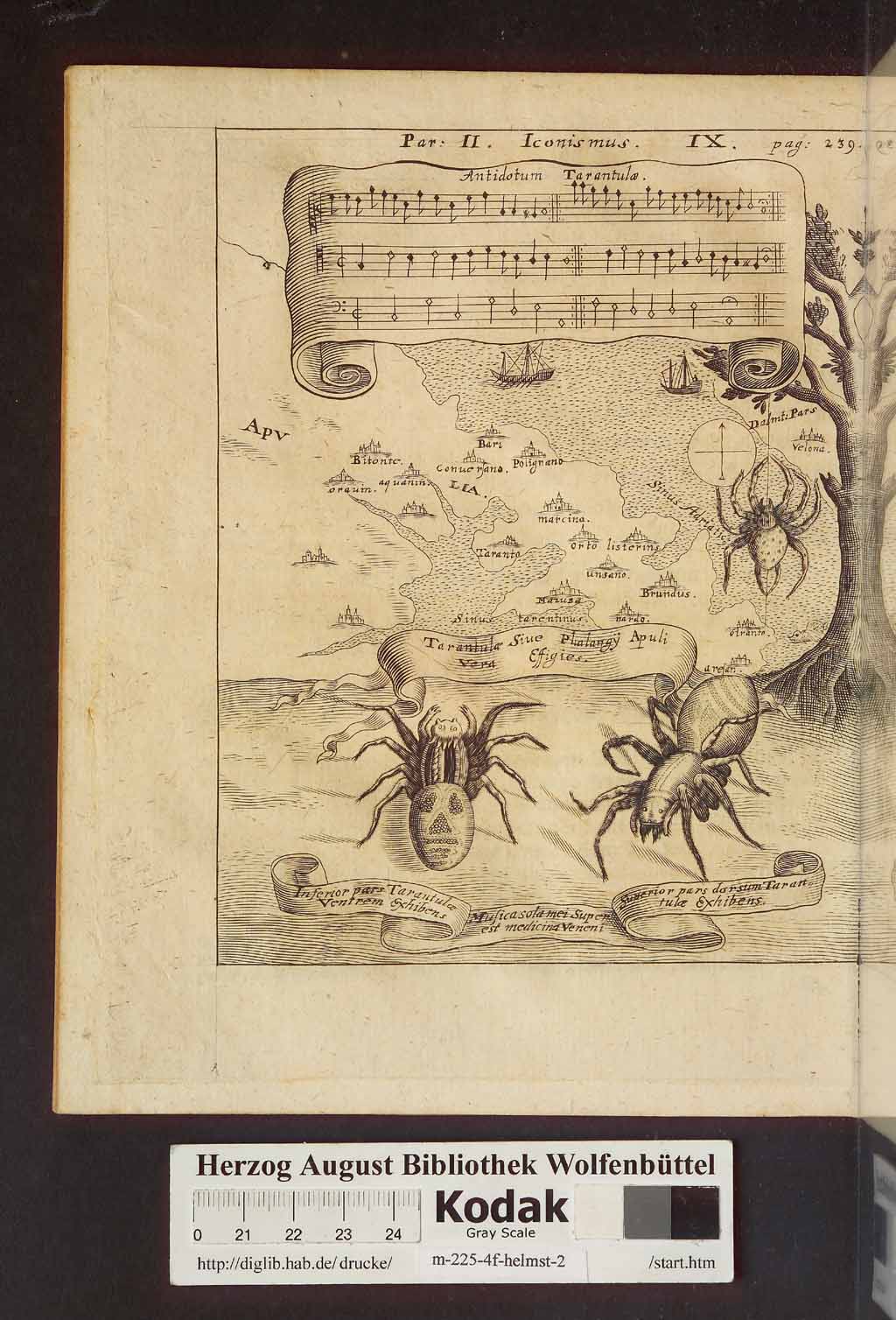 http://diglib.hab.de/drucke/m-225-4f-helmst-2/00284.jpg