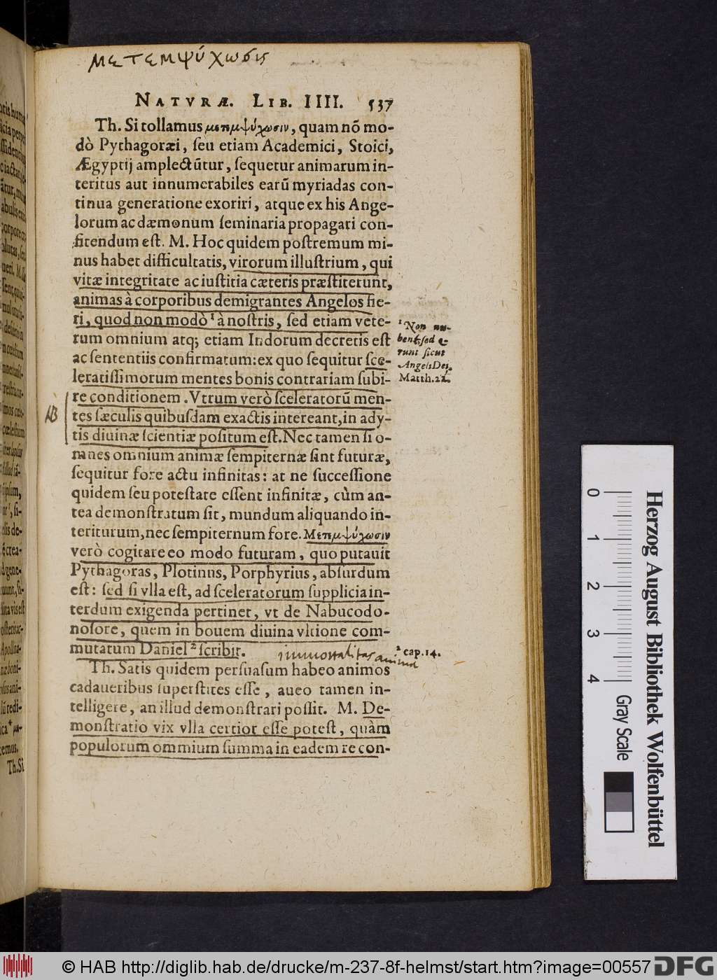 http://diglib.hab.de/drucke/m-237-8f-helmst/00557.jpg