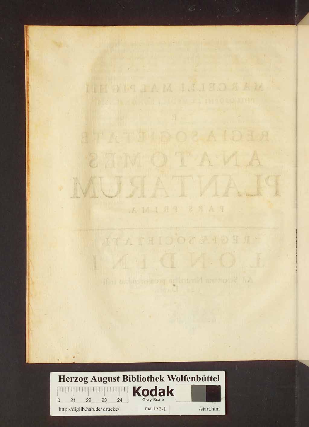 http://diglib.hab.de/drucke/ma-132-1/00018.jpg