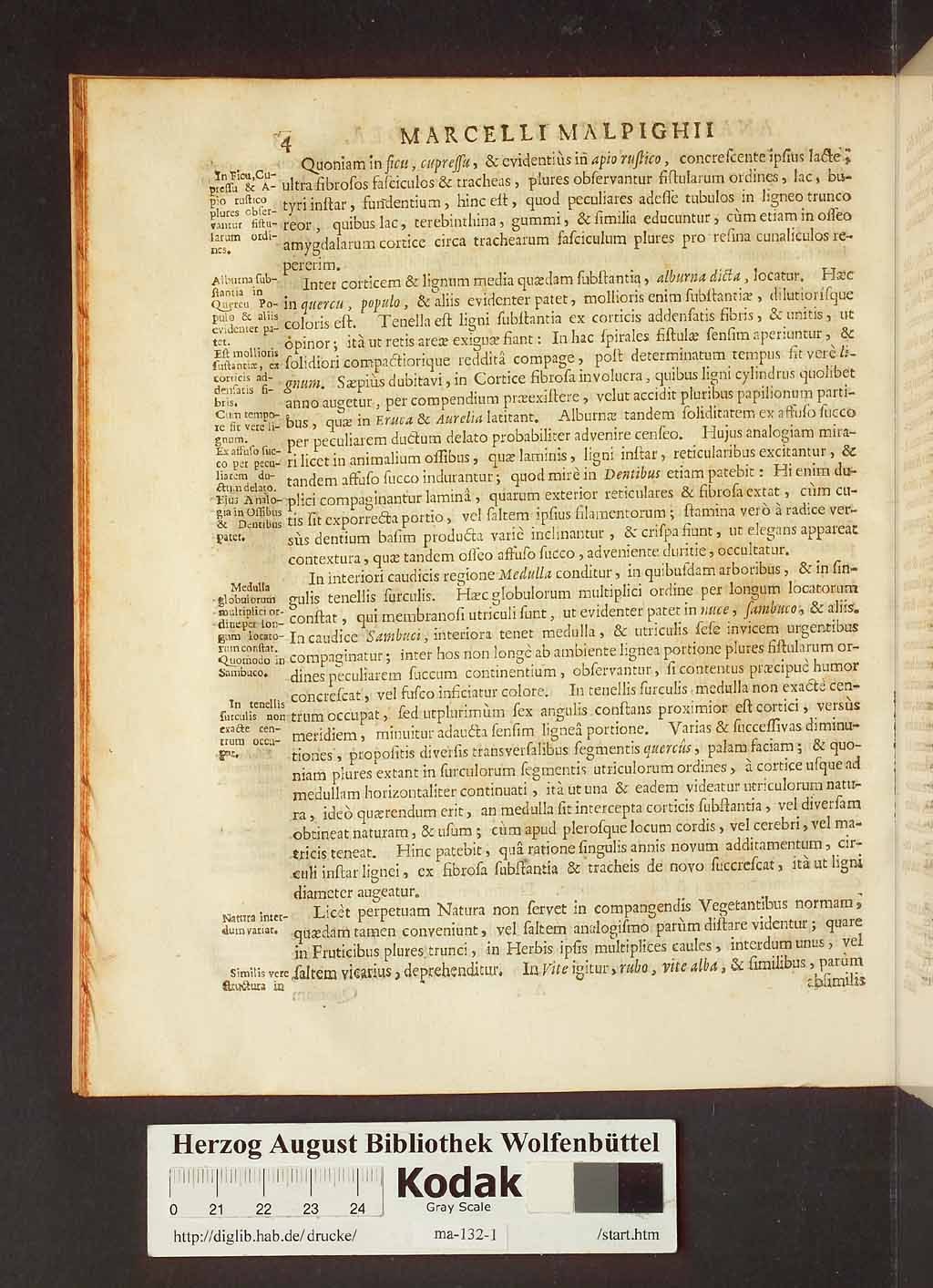 http://diglib.hab.de/drucke/ma-132-1/00026.jpg