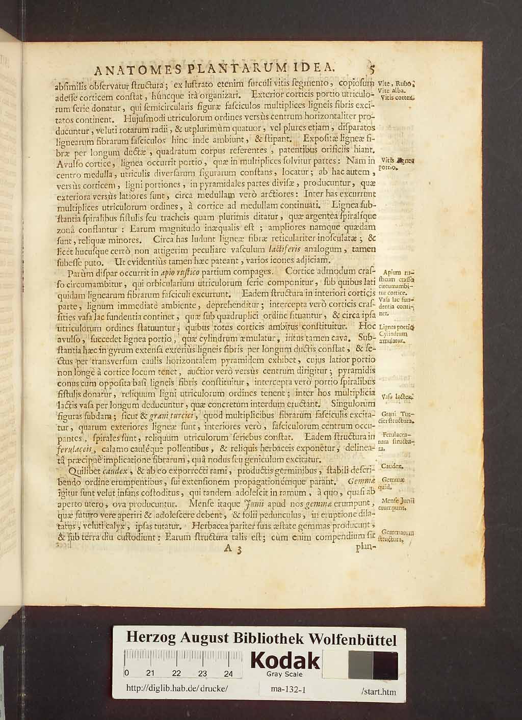 http://diglib.hab.de/drucke/ma-132-1/00027.jpg