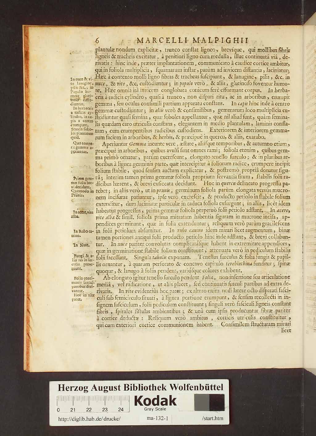 http://diglib.hab.de/drucke/ma-132-1/00028.jpg