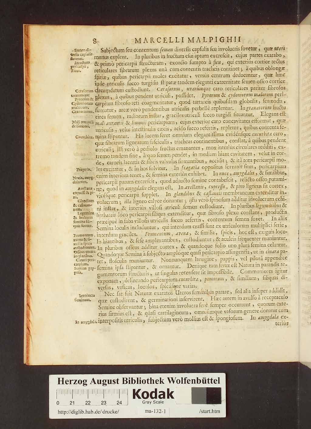 http://diglib.hab.de/drucke/ma-132-1/00030.jpg