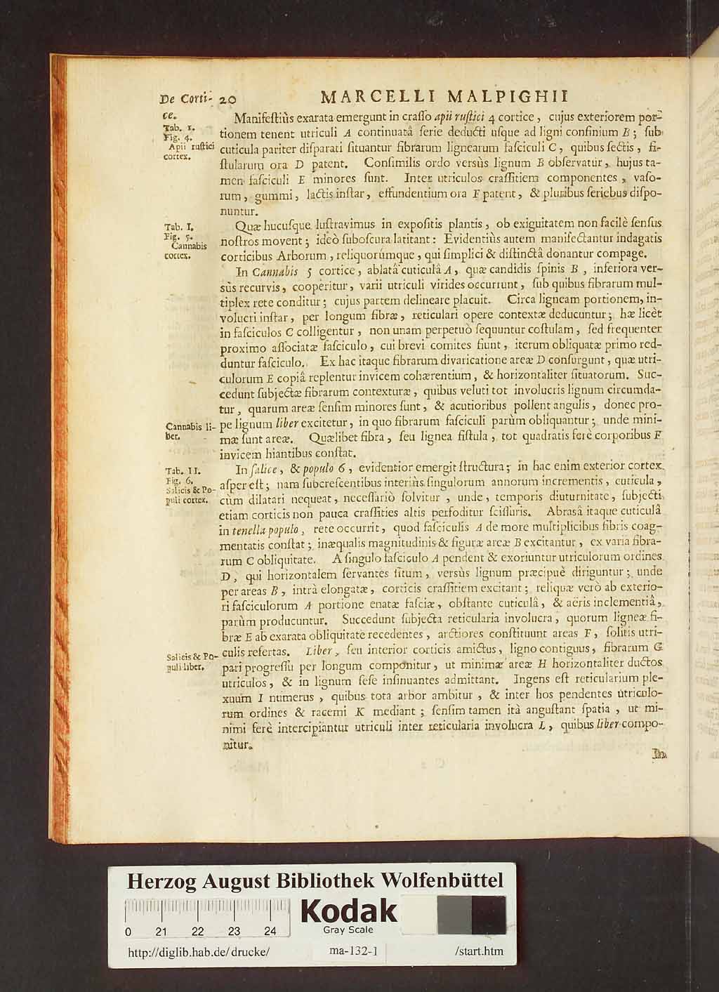 http://diglib.hab.de/drucke/ma-132-1/00042.jpg