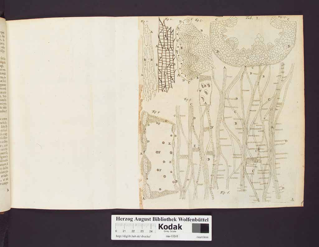 http://diglib.hab.de/drucke/ma-132-1/00042a.jpg