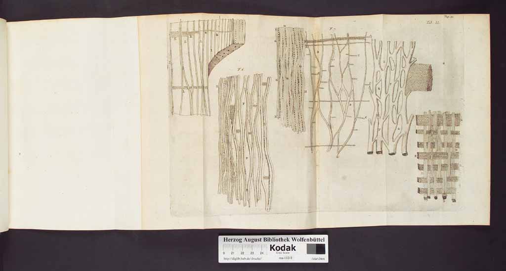 http://diglib.hab.de/drucke/ma-132-1/00042b.jpg