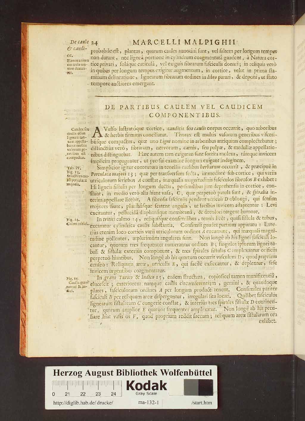 http://diglib.hab.de/drucke/ma-132-1/00046.jpg