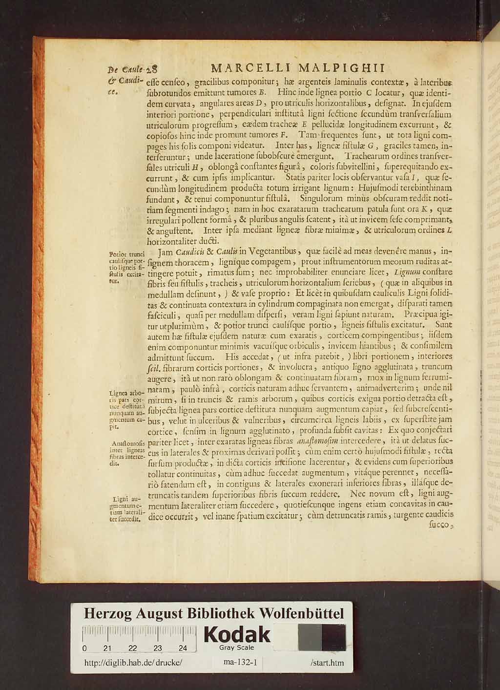 http://diglib.hab.de/drucke/ma-132-1/00050.jpg