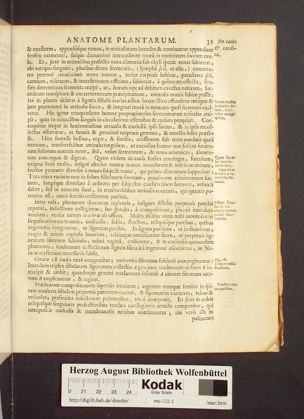 http://diglib.hab.de/drucke/ma-132-1/00053.jpg