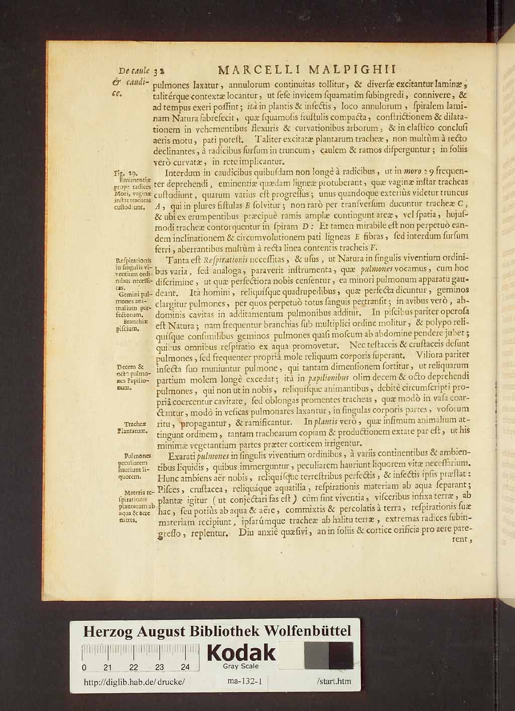 http://diglib.hab.de/drucke/ma-132-1/00054.jpg