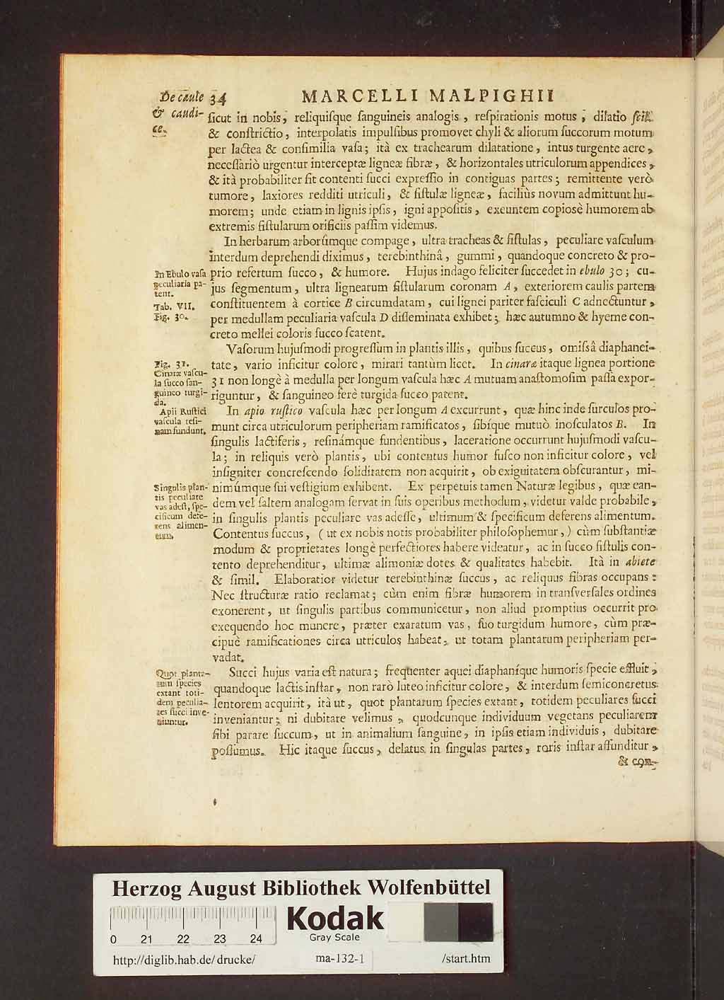 http://diglib.hab.de/drucke/ma-132-1/00056.jpg