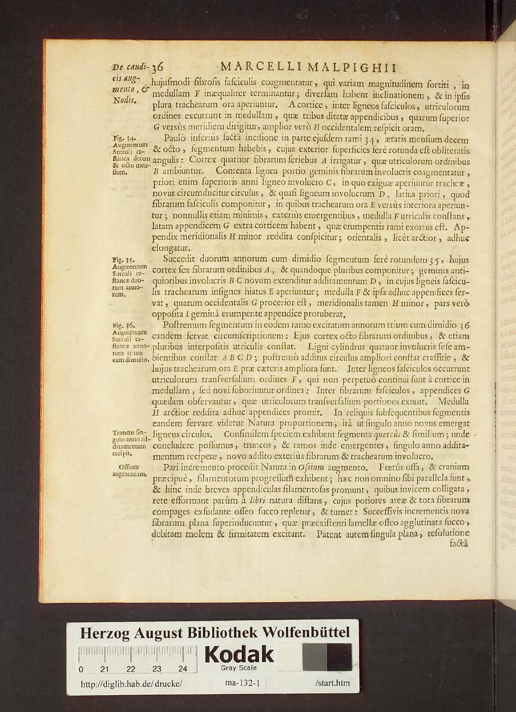 http://diglib.hab.de/drucke/ma-132-1/00058.jpg