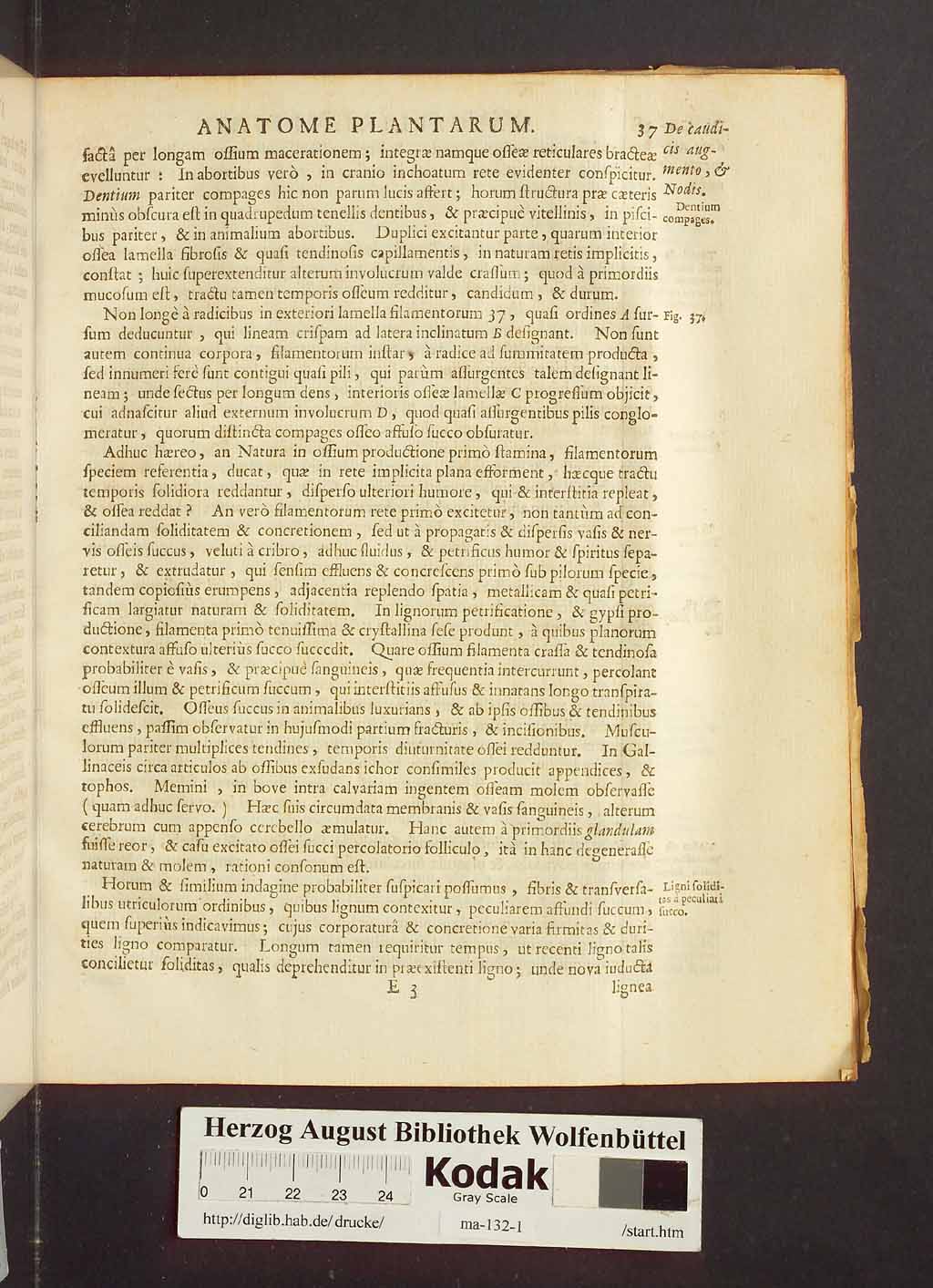 http://diglib.hab.de/drucke/ma-132-1/00059.jpg