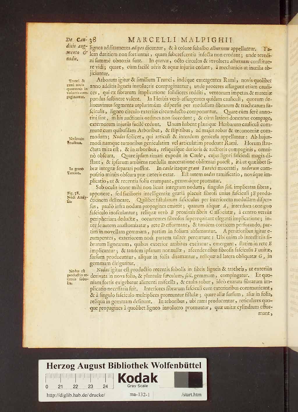 http://diglib.hab.de/drucke/ma-132-1/00060.jpg