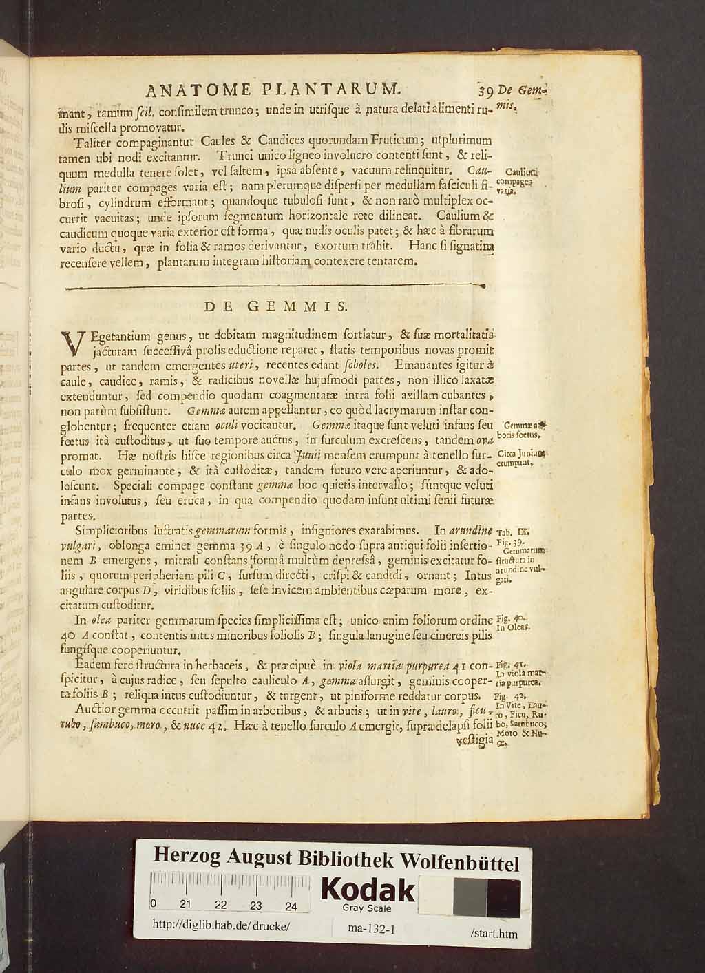 http://diglib.hab.de/drucke/ma-132-1/00061.jpg