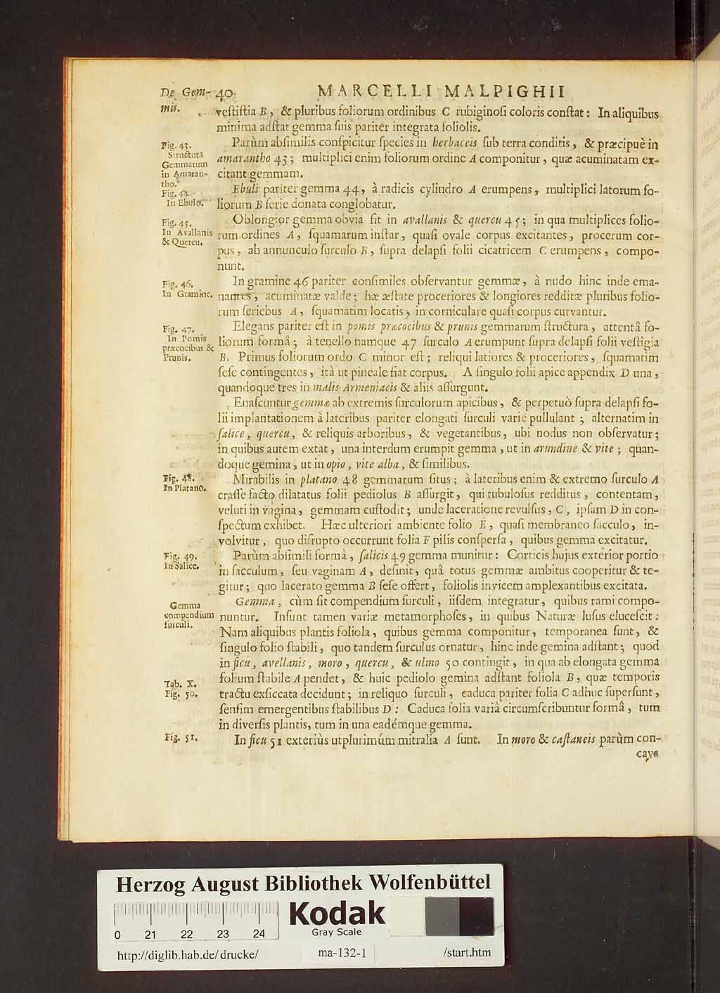 http://diglib.hab.de/drucke/ma-132-1/00062.jpg