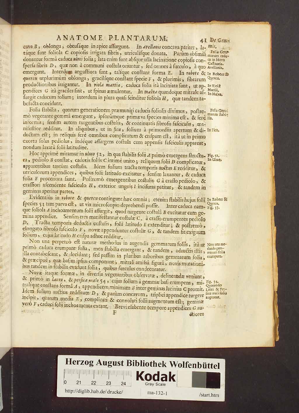 http://diglib.hab.de/drucke/ma-132-1/00063.jpg