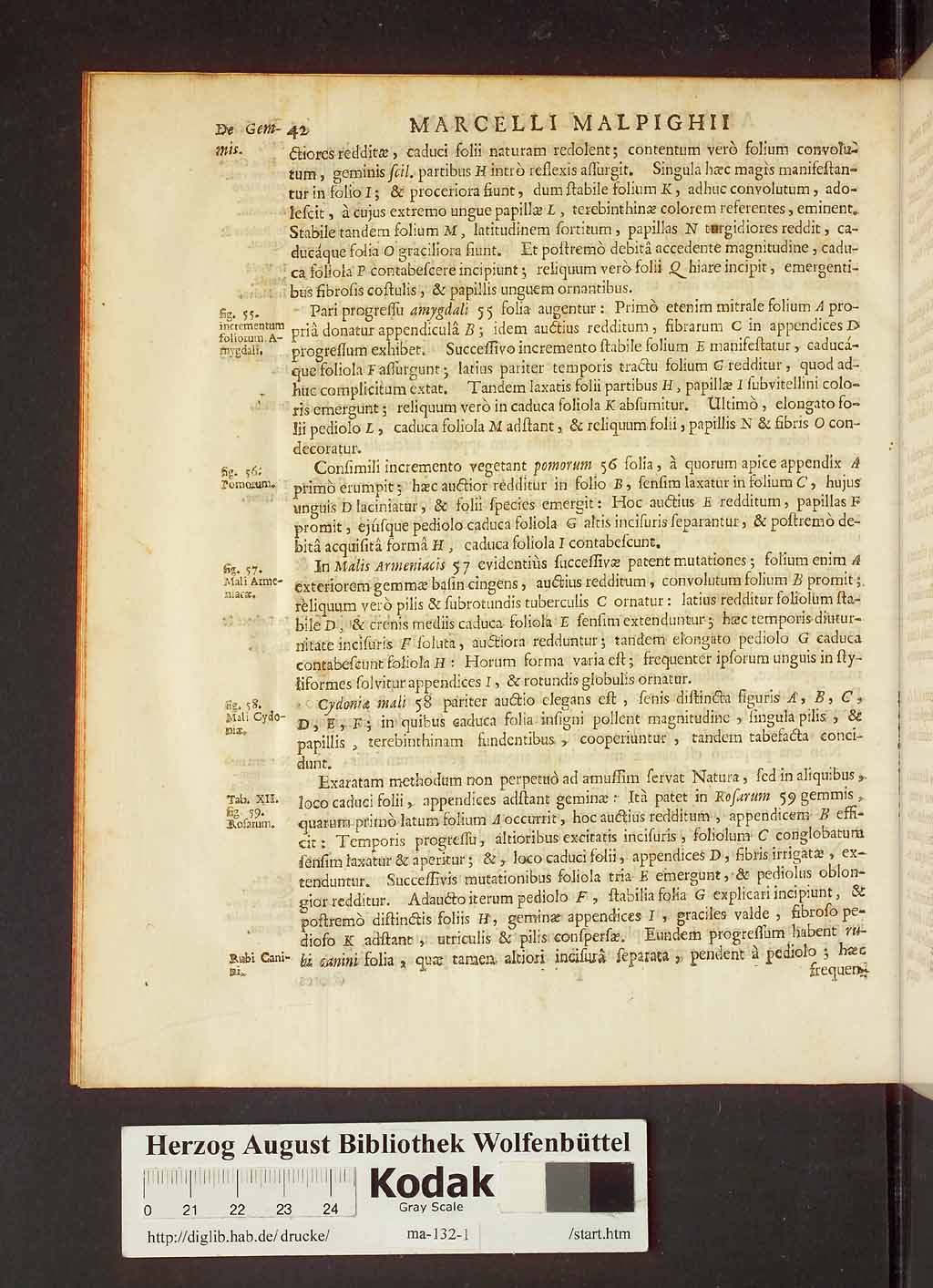 http://diglib.hab.de/drucke/ma-132-1/00064.jpg