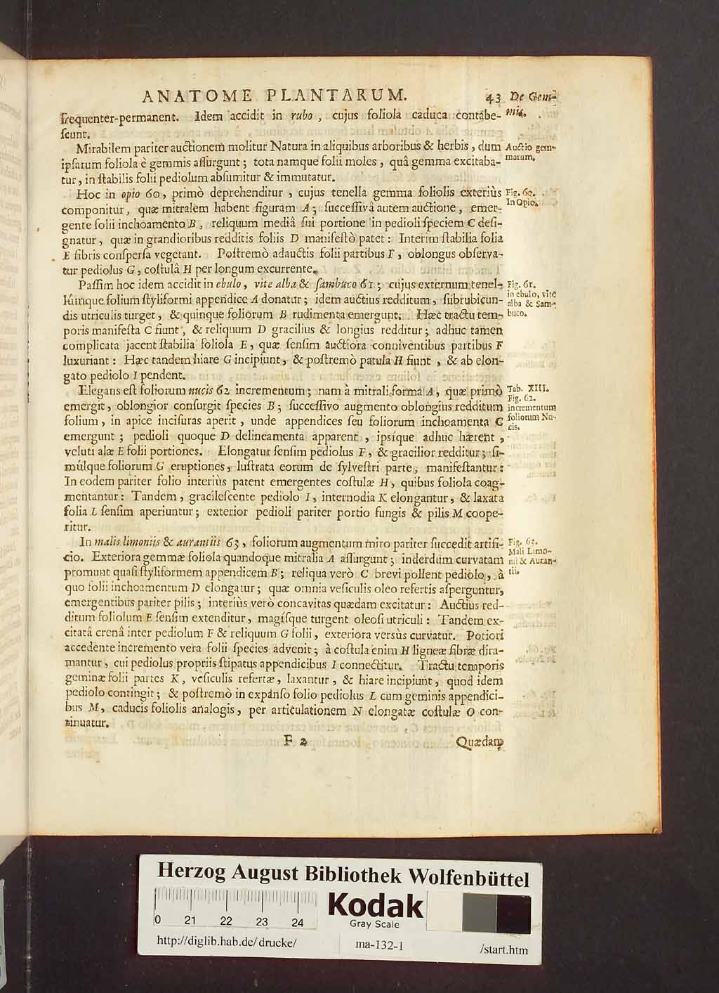 http://diglib.hab.de/drucke/ma-132-1/00065.jpg