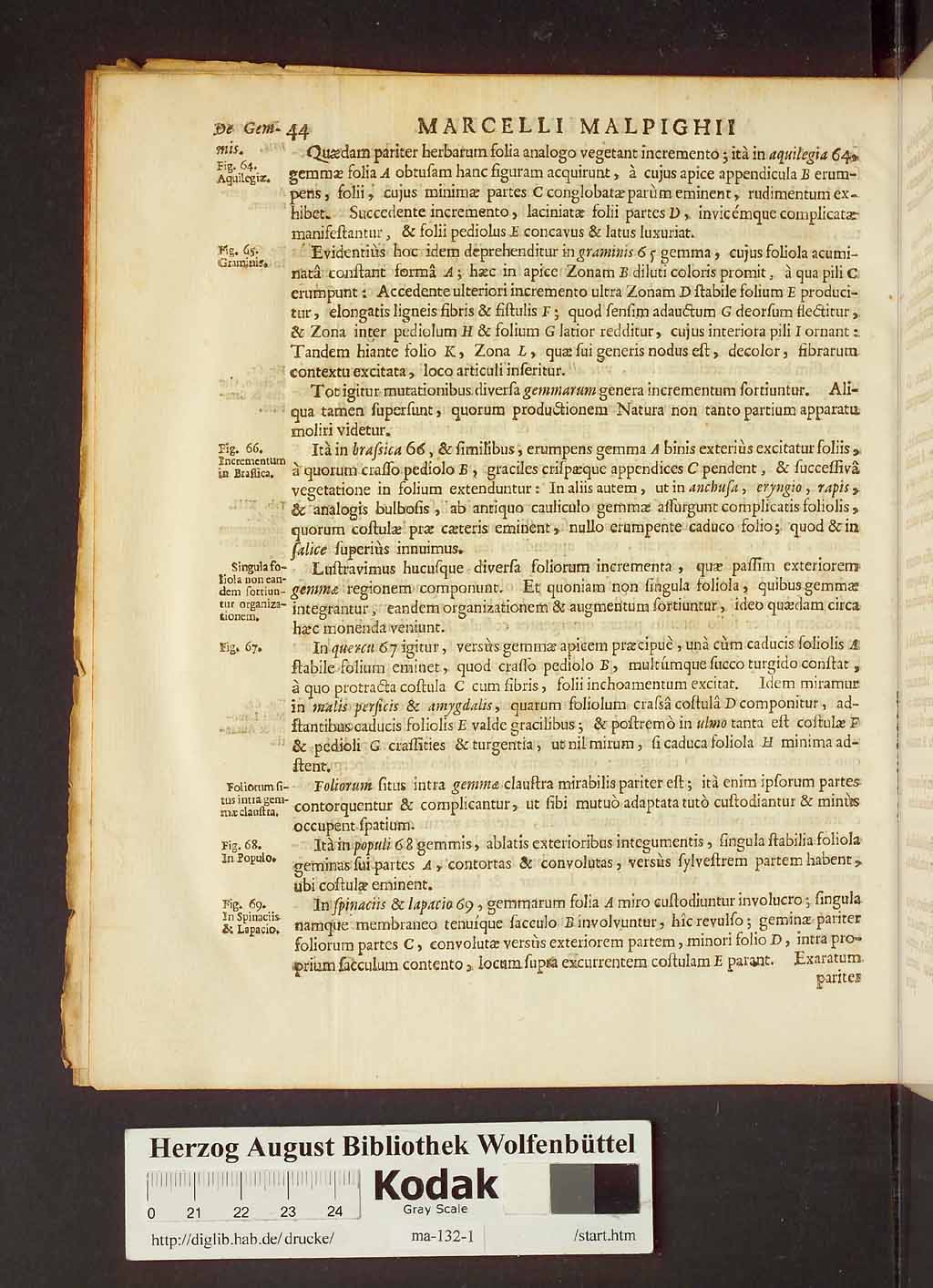 http://diglib.hab.de/drucke/ma-132-1/00066.jpg