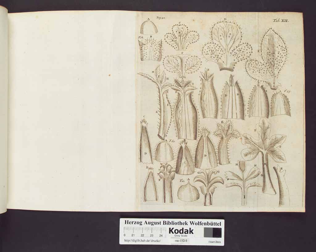 http://diglib.hab.de/drucke/ma-132-1/00066b.jpg