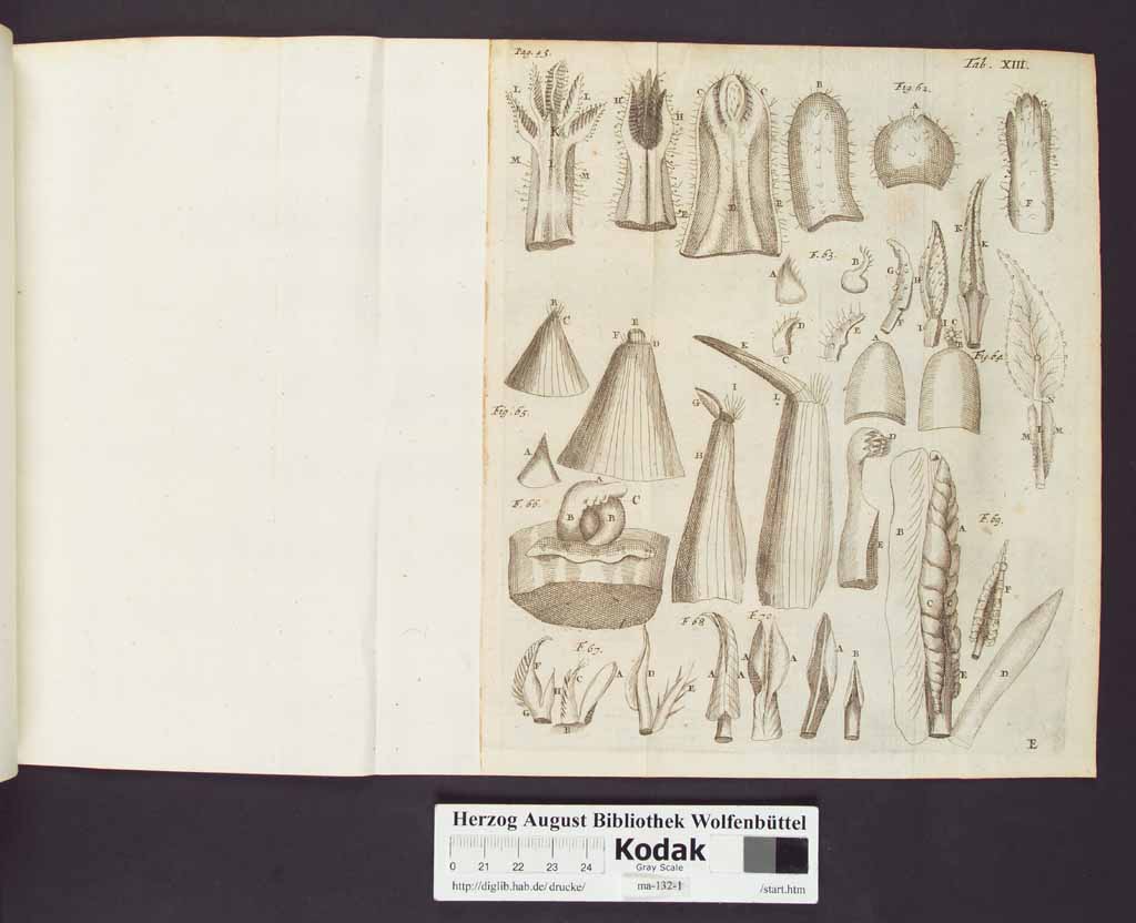 http://diglib.hab.de/drucke/ma-132-1/00066c.jpg