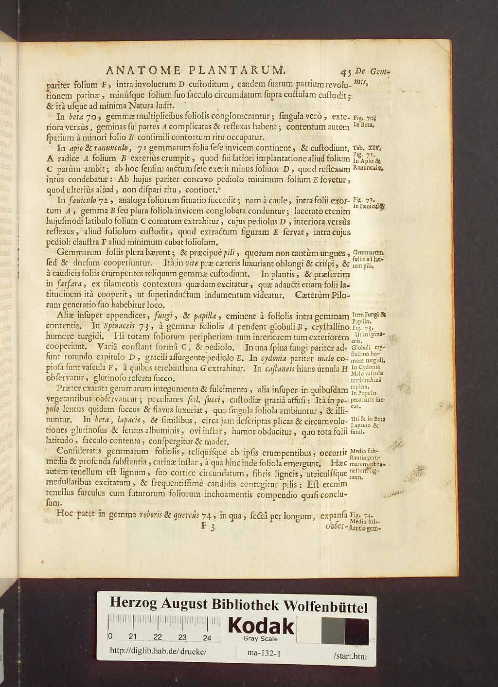 http://diglib.hab.de/drucke/ma-132-1/00067.jpg